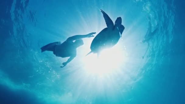 フリーダイバーはカメと水中を泳ぐ — ストック動画