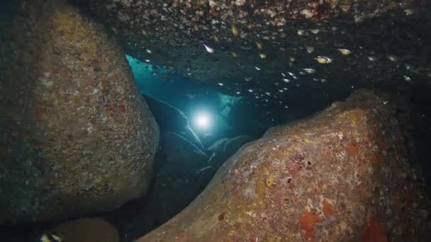 Freediver Swims Underwater Sea Explores Cavern Torch — Stock Video