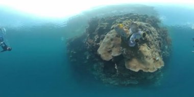 Batı Papua, Endonezya 'daki tropikal denizin mercan resif duvarında yüzen serbest dalgıcın 360VR sualtı görüntüsü.