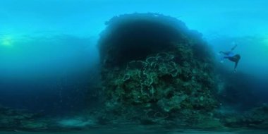 Batı Papua, Endonezya 'daki tropikal denizin mercan resif duvarında yüzen serbest dalgıcın 360VR sualtı görüntüsü.