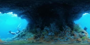 360VR sualtı görüntülerinde serbest dalgıcın canlı mercan resifinin yanında Misool, Raja Ampat, Endonezya 'nın batısındaki tropikal denizde tek başına yüzdüğü görülüyor.