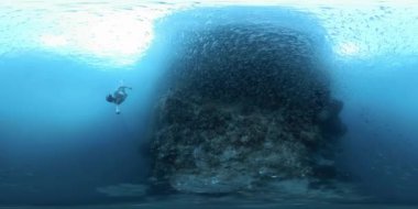 360VR sualtı görüntülerinde serbest dalgıcın canlı mercan resifinin yanında Misool, Raja Ampat, Endonezya 'nın batısındaki tropikal denizde tek başına yüzdüğü görülüyor.