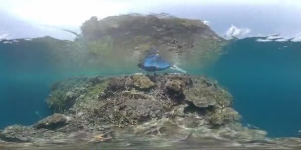 360Vr Onderwater Beelden Van Vrijduiker Zwemmend Bij Koraalrif Muur Tropische — Stockvideo