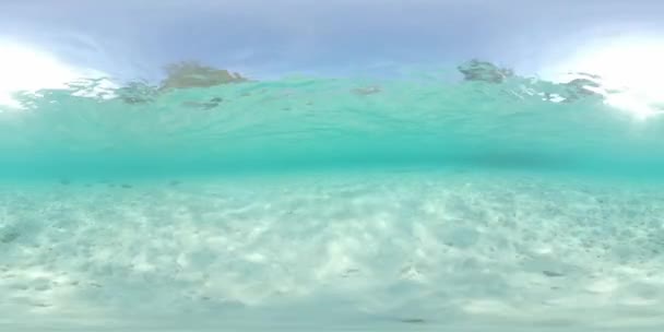 360Vr Rekaman Bawah Air Dari Laut Dangkal Dengan Dasar Berpasir — Stok Video