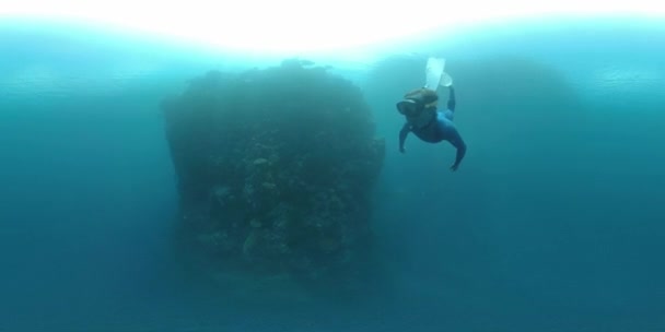 360Vr Podwodne Nagranie Pływania Freedivera Pobliżu Ściany Rafy Koralowej Tropikalnym — Wideo stockowe