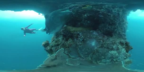 360Vr Onderwater Beelden Van Vrijduiker Zwemmend Bij Koraalrif Muur Tropische — Stockvideo