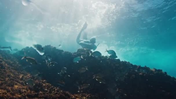 프리디버는 바다에서 수중에서 수영합니다 — 비디오