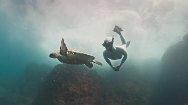 프리디버는 거북이와 수중에서 수영합니다 — 비디오