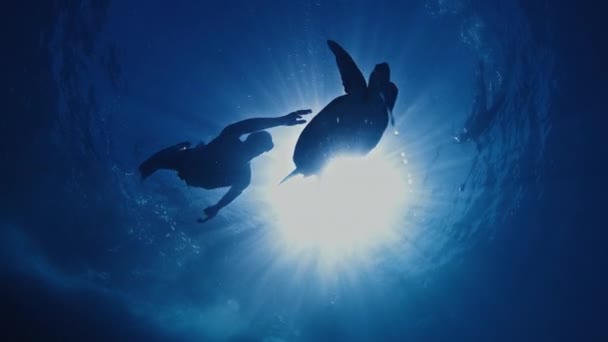 Freediver Nada Debaixo Água Com Tartaruga — Vídeo de Stock