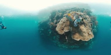 Batı Papua, Endonezya 'daki tropikal denizin mercan resif duvarında yüzen serbest dalgıcın 360VR sualtı görüntüsü.