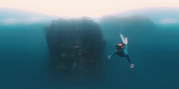 インドネシア西パプアの熱帯海のサンゴ礁の壁の近くで泳ぐ解放された川の360Vrの水中映像 — ストック動画