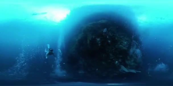 360Vr Подводные Кадры Фридайвера Плавающего Одиночестве Рядом Ярким Коралловым Рифом — стоковое видео