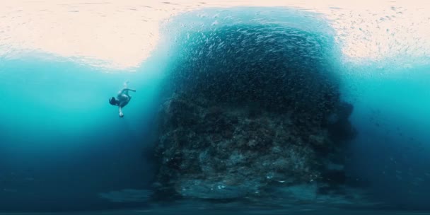 360Vr 서파푸아 바다에서 물고기 사이에 생생한 산호초 근처에 프리다이버의 동영상 — 비디오