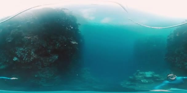360Vr Unterwasseraufnahmen Des Freitauchers Der Sich Tropischen Meer West Papua — Stockvideo