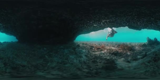 360Vr Υποβρύχια Πλάνα Του Άνδρα Που Κολυμπούν Και Ψαροντούφεκο Στην — Αρχείο Βίντεο