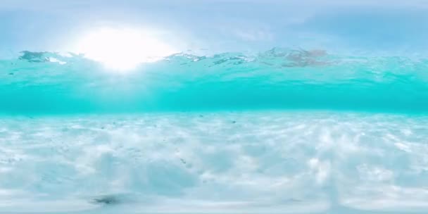 360Vr Podvodní Záznam Muže Plavání Šnorchlování Modrém Čistém Tropickém Moři — Stock video
