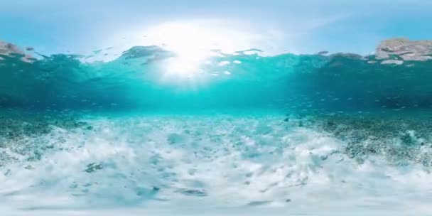 360Vr Imagens Subaquáticas Mar Raso Com Fundo Arenoso Papua Ocidental — Vídeo de Stock