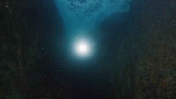 Фридайвер Плавает Водой Море Человек Фридайвер Плавает Подводном Каньоне Исследует — стоковое видео