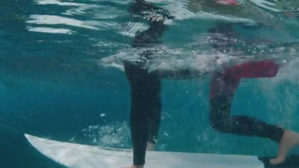 Plongée Sous Vague Dans Océan Aux Maldives — Video