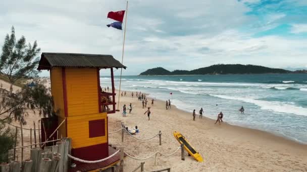 해파리 위협을 의미하는 자주색 깃발을 브라질의 경비대 — 비디오