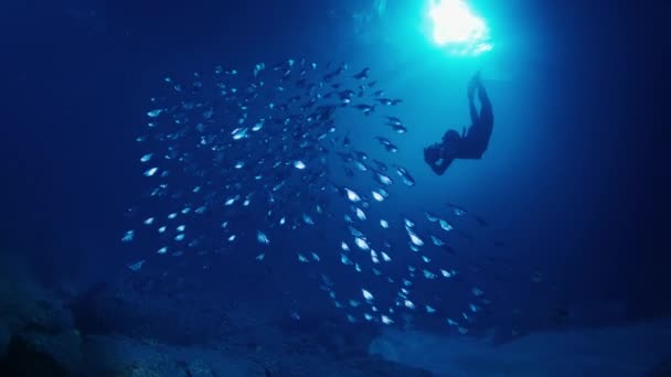 カメラ付きのフリーダイバーは海中で水中を泳ぎ 魚の学校の写真を撮ります — ストック動画