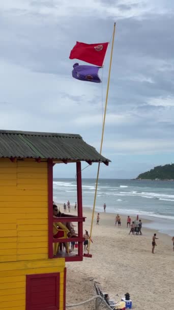 Ακτοφυλακή Στη Βραζιλία Υψωμένη Μωβ Σημαία Που Σημαίνει Απειλή Μέδουσας — Αρχείο Βίντεο