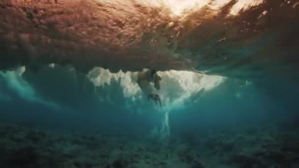 Surfista Camicia Gialla Tuffa Sotto Onda Con Tavola Surf Alle — Video Stock