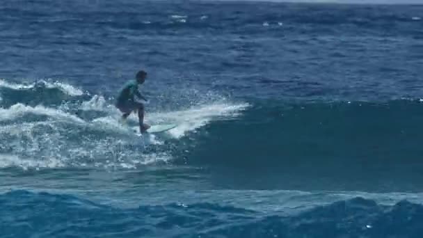 Surfer Surfe Sur Vague Aux Maldives Séquence Vidéo