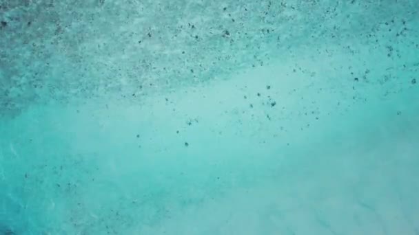 Luftaufnahme Des Tropischen Meeres Auf Den Malediven Stockvideo