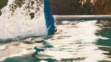 Arka planda palmiye ağaçları olan bir adam havuzda yüzer.