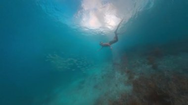 Freediver tropikal denizde suyun altında yüzer.