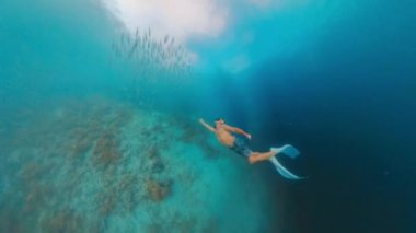 Freediver, tropikal denizde balık sürüsüyle birlikte su altında yüzer.