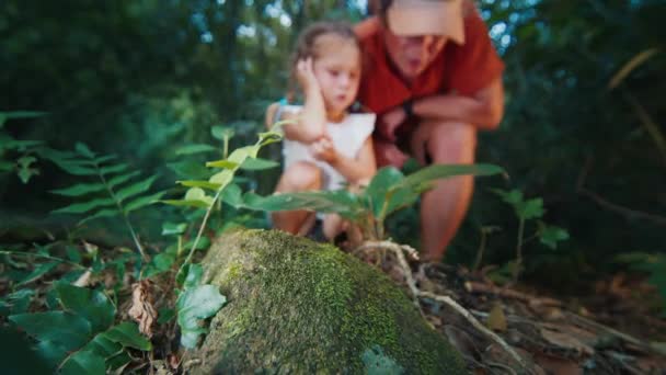 Nauka Rodzinna Dorosły Mężczyzna Dzieckiem Siedzi Tropikalnym Lesie Ogląda Mrówki Klip Wideo