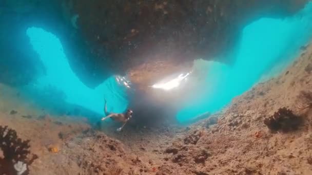 Freediver Pływa Pod Wodą Tropikalnym Morzu Odkrywa Zawiłe Krajobrazy Morskie — Wideo stockowe