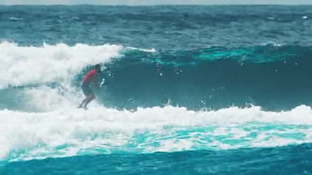 Surfista Cavalca Onda Alle Maldive — Video Stock