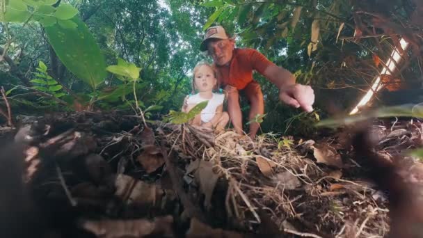 子供のための森林科学 娘と父親は森を探検し 地面に走っているアリを見ます 動画クリップ