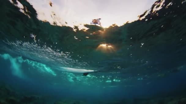 Podwodny Widok Surfera Jadącego Fali Malediwach — Wideo stockowe