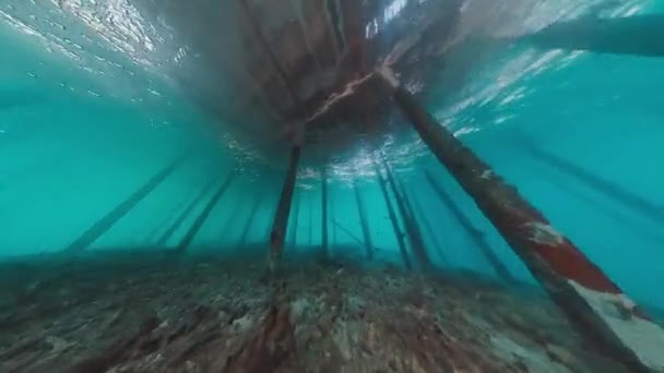 Serbest Yüzücü Tropikal Denizde Yüzüyor Endonezya Nın Batı Papua Bölgesinde — Stok video