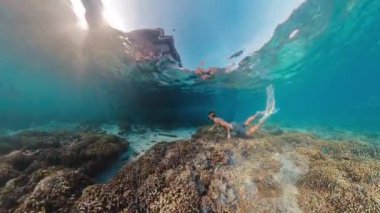 Serbest yüzücü tropikal denizde yüzüyor ve Endonezya 'nın Batı Papua bölgesinde karmaşık deniz manzarası ve bol miktarda deniz yaşamı keşfediyor.
