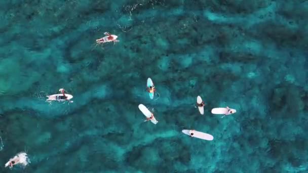 Bovenaanzicht Vanuit Lucht Surfplek Malediven Met Surfers Die Rondzwemmen Stockvideo's