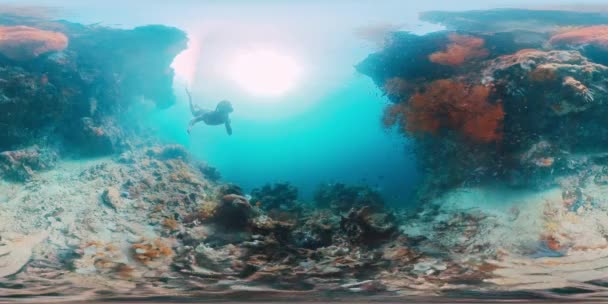 在热带海域的水下游泳 探索印度尼西亚西巴布亚地区复杂的海景和丰富的海洋生物的自由潜水员的镜头 — 图库视频影像