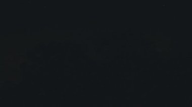 Gece gökyüzündeki şimşekler Araucaria ağacının siluetlerinde parlıyor. Brezilya