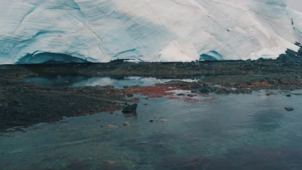 夏の南極大陸 南極の氷と水を溶かした土地 — ストック動画