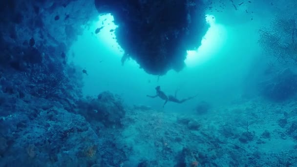 フリーダイバーは熱帯海で水中を泳ぎ インドネシアの西パプア地域の複雑な海岸を探検します — ストック動画