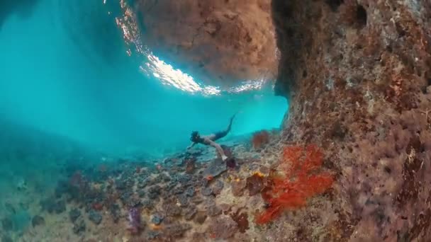 免费潜水者在热带海洋中游泳 并探索印度尼西亚西巴布亚地区复杂的海景 — 图库视频影像