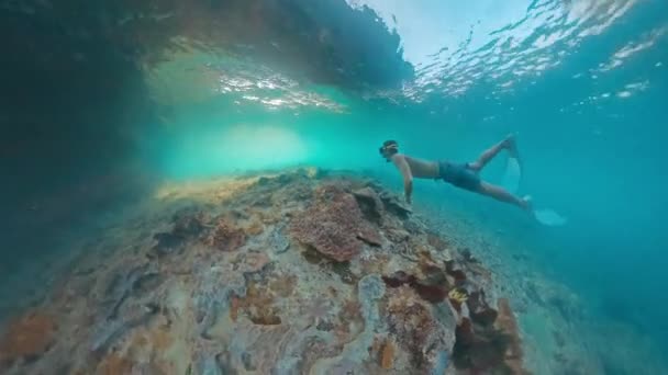 Freediver Nada Debaixo Água Mar Tropical Explora Intrincada Paisagem Marinha — Vídeo de Stock