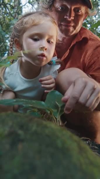 子供のための森林科学 娘と父親は森を探検し 地面に走っているアリを見ます — ストック動画