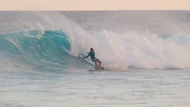 Mannelijke Surfer Rijdt Golf Malediven — Stockvideo