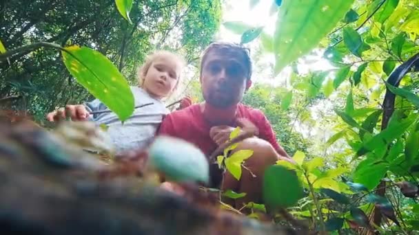 ファミリー科学 子供がいる大人は熱帯林に座り アリが地面を走っているのを見ている 父親は リーフカッターの娘の人生を説明する — ストック動画