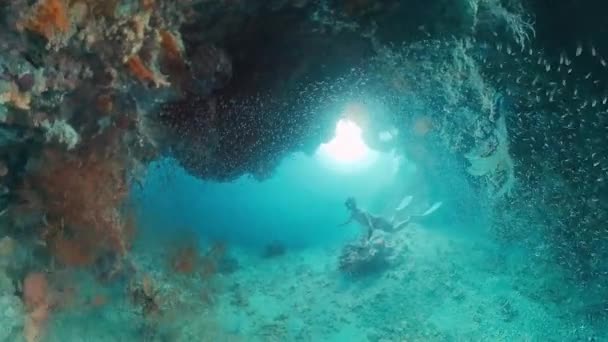 Freediver Nadando Debaixo Água Mar Tropical Explorando Paisagens Marinhas Intrincadas — Vídeo de Stock